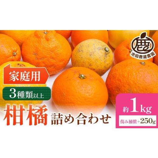 ふるさと納税 みかん・柑橘類 和歌山県 日高町 家庭用 柑橘詰合せ 約1kg+250g (傷み補償分) 3種類以上 有田の春みかん詰め合わせ 光センサー選別 池田鹿蔵農…