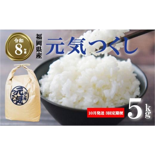 ふるさと納税 米 福岡県 川崎町 選べる品種・容量・発送月 令和8年産先行予約 初回2026年10月発送 元気つくし 5kg / 3回定期便 ふるさと納税限定 ふるさと納…