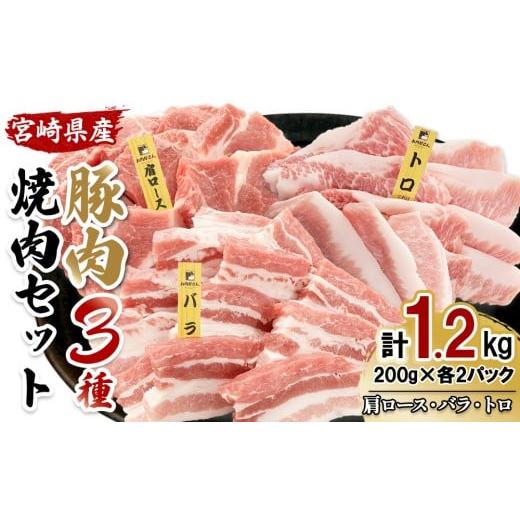 ふるさと納税 豚肉 ロース 宮崎県 えびの市 宮崎県産 豚肉 焼肉 3種食べ比べセット 合計1.2kg (肩ロース・バラ・豚トロ) 200g×6パック 真空小分けパック 冷凍…