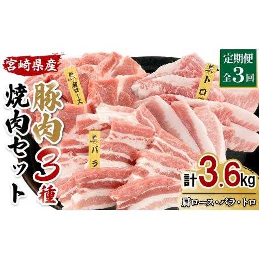 ふるさと納税 豚肉 ロース 宮崎県 えびの市 宮崎県産 豚肉 焼肉 3種食べ比べ 定期便 全3回 合計3.6kg (1.2kg×3回) 真空小分けパック (肩ロース・バラ・豚トロ…
