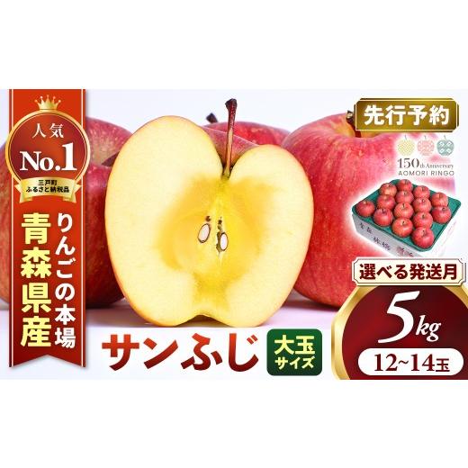 ふるさと納税 りんご 青森県 三戸町 2026年産・先行予約 2026年11月下旬〜12月上旬頃発送予定 りんご サンふじ 約5kg(12〜14玉・大玉サイズ) 青森県三戸町…