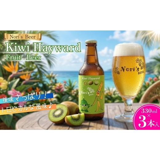 ふるさと納税 ビール 地ビール 山梨県 市川三郷町 クラフトビール 330mlx3本 Kiwi Hayward Nori's Beer (ノリズビア)