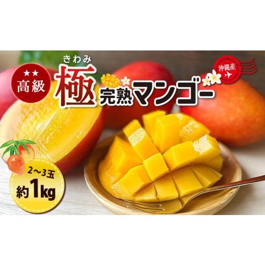 ふるさと納税 マンゴー 沖縄県 うるま市 高級マンゴー 極1kg 熱帯資源植物研究所 1kg