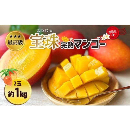 ふるさと納税 マンゴー 沖縄県 うるま市 最高級マンゴー 宝珠1kg 熱帯資源植物研究所 1kg