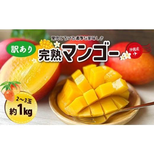 ふるさと納税 マンゴー 沖縄県 うるま市 訳ありマンゴー1kg 熱帯資源植物研究所 1kg