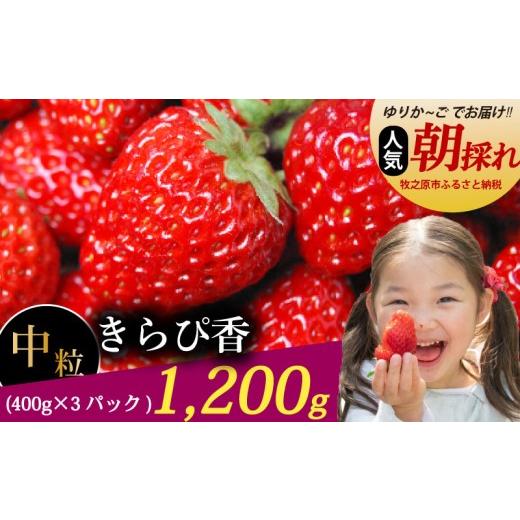 ふるさと納税 いちご 静岡県 牧之原市 いちご きらぴ香 1.2kg 400g × 3パック 冷蔵発送 きらぴか 苺 イチゴ ゆりかーご 土耕栽培 フルーツ 果物 スイーツ デ…