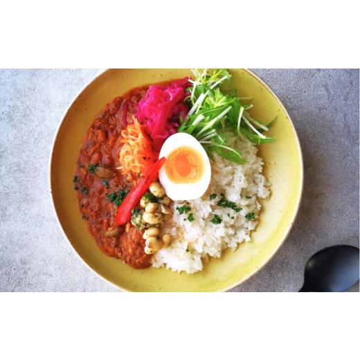 ふるさと納税 惣菜・レトルト 冷凍 北海道 長沼町 北海道産食材の無添加カレー4個セット (カルダモン+グリーン+おすすめ2種×1個ずつ)