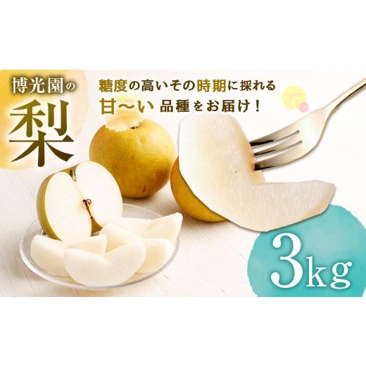 ふるさと納税 梨 福岡県 嘉麻市 10月発送分 梨 3kg なし 果物 くだもの フルーツ 豊水 20世紀 新高 新興 10月発送分