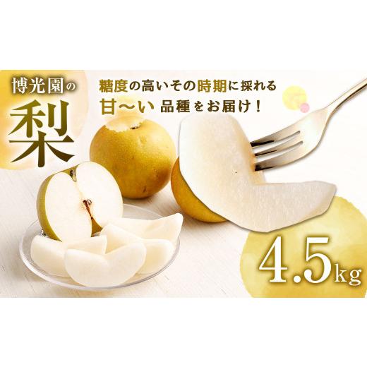 ふるさと納税 梨 福岡県 嘉麻市 10月発送分 梨 4.5kg 豊水 20世紀 新高 新興 果物 10月発送