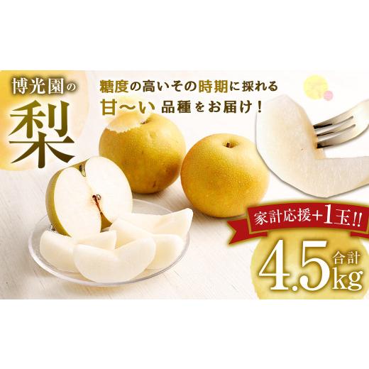 ふるさと納税 梨 福岡県 嘉麻市 10月発送分 家計応援 数量限定 梨 4.5kg+1玉 豊水 20世紀 新高 新興 果物 フルーツ 10月発送
