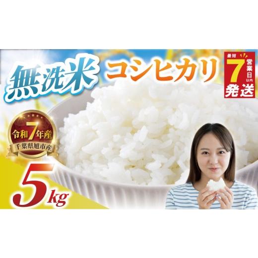 ふるさと納税 無洗米 千葉県 旭市 ＼最短7営業日以内発送/ コシヒカリ 無洗米 5kg 令和7年産 精米 白米 米 2025 7年産 R7米 R7 令和7年産米 お米 ご飯 無洗 …