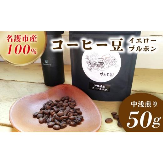 ふるさと納税 コーヒー コーヒー豆 沖縄県 名護市 名護市産100%コーヒー豆(イエローブルボン)中浅煎り 50g 沖縄県産 名護市 コーヒー コーヒー豆 イエロー…