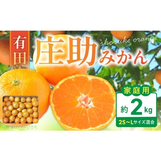 ふるさと納税 果物類 みかん 和歌山県 湯浅町 BK6017_ 2026年先行予約 庄助みかん (家庭用・サイズ混合) 約2kg