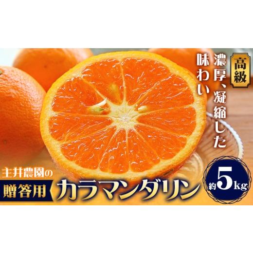 ふるさと納税 果物類 みかん 和歌山県 日高町 高級カラマンダリン贈答用 約5kg 主井農園[4月上旬-5月中旬頃出荷] 和歌山県 日高町 カラマンダリン みかん 高…