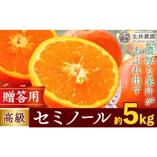 ふるさと納税 果物類 みかん 和歌山県 日高町 柑橘 高級 セミノール 贈答用 約 5kg 主井農園[4月下旬-5月下旬頃出荷] 和歌山県 日高町 セミノール 柑橘 高級…