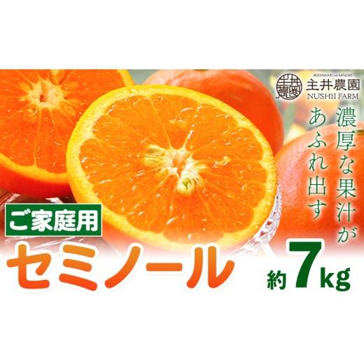 ふるさと納税 果物類 みかん 和歌山県 日高町 柑橘 ご家庭用セミノール 約7kg 主井農園[4月下旬-5月下旬頃出荷] 和歌山県 日高町 セミノール オレンジ みか…