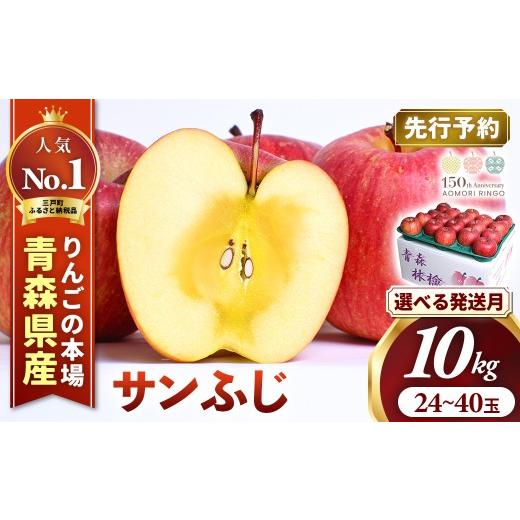 ふるさと納税 りんご 青森県 三戸町 りんご サンふじ 約10kg(24〜40玉) 2026年産・先行予約 2026年11月下旬〜12月上旬頃まで発送予定 青森県三戸町産 りんご…