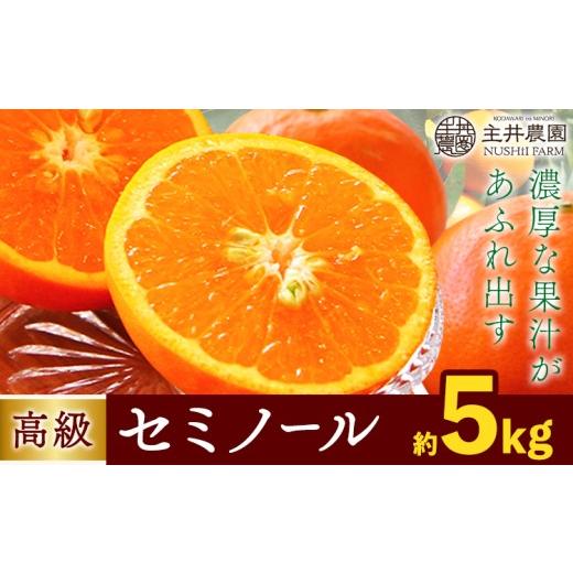 ふるさと納税 果物類 みかん 和歌山県 日高町 柑橘 高級セミノール 約 5kg 主井農園[4月下旬-5月下旬頃出荷] 和歌山県 日高町 セミノール オレンジ みかん …