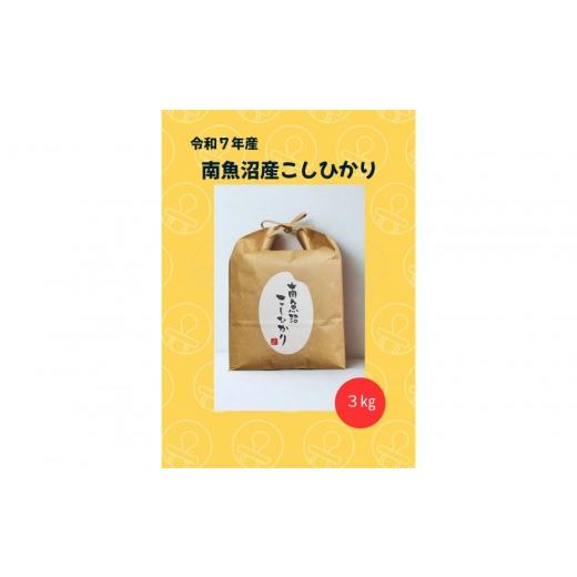 ふるさと納税 米 コシヒカリ 新潟県 南魚沼市 令和7年 南魚沼産こしひかり3kg