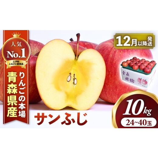 ふるさと納税 りんご 青森県 三戸町 りんご サンふじ 約10kg(24〜40玉) 2026年産・先行予約 2026年12月下旬〜2027年1月上旬頃まで発送予定 青森県三戸町産 …