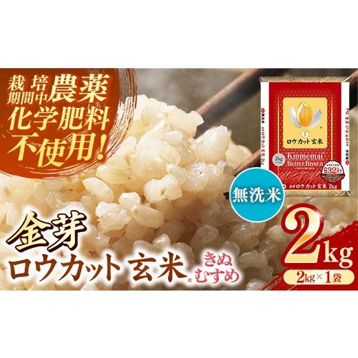 ふるさと納税 玄米 島根県 安来市 金芽ロウカット玄米 島根県産 きぬむすめ 2kg (2kg×1袋) 栽培期間中 農薬・化学肥料不使用 令和7年産 ロウカット 玄米 時…