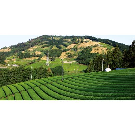 ふるさと納税 加工品等 静岡県 掛川市 大きくて手作り「こーちゃんの肉まん」×5個入り 1719919