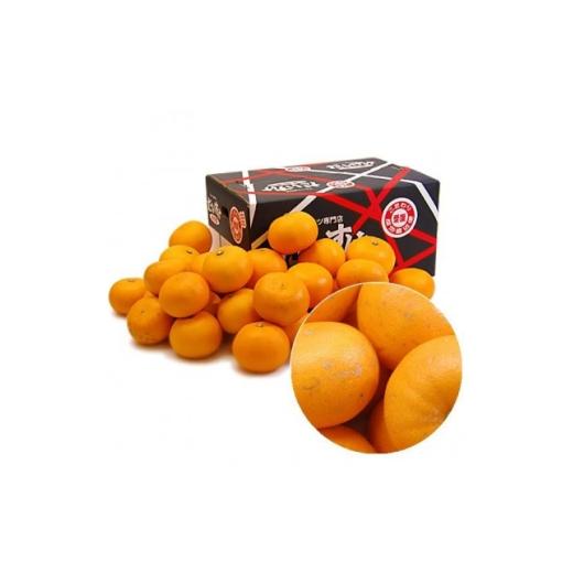 ふるさと納税 果物類 みかん 愛媛県 八幡浜市 愛媛県八幡浜産・せとか 5kg 訳あり E35-30 1609728