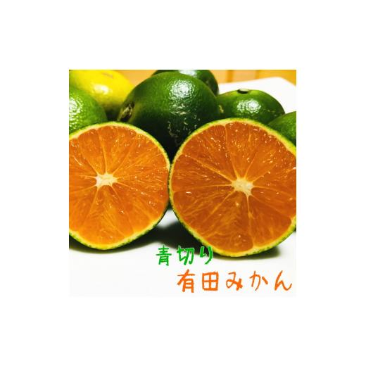 ふるさと納税 果物類 みかん 和歌山県 すさみ町 先行予約 2026年9月発送 ご家庭用青切り有田みかん 約7.5kg+200g(傷み補償分) 2026年9月中旬〜10月上旬頃に…