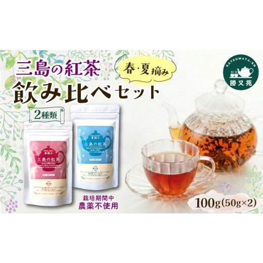 ふるさと納税 紅茶 茶葉・ティーバッグ 静岡県 三島市 三島の紅茶 2種 春摘み 夏摘み 飲み比べセット 100g (50g×2) 国産 栽培期間中 農薬不使用 リーフ リー…