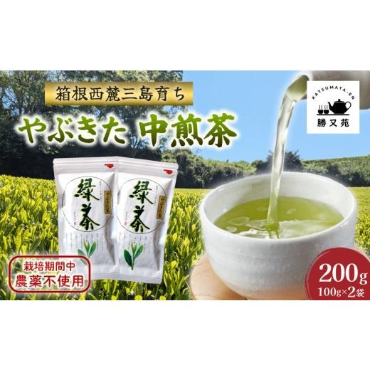 ふるさと納税 お茶類 緑茶(茶葉・ティーバッグ) 静岡県 三島市 緑茶 やぶきた 中煎茶 200g (100g×2袋) 国産 栽培期間中 農薬不使用 煎茶 日本茶 茶葉 お茶 …