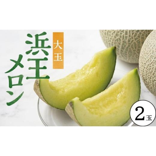 ふるさと納税 メロン メロン青肉 山形県 酒田市 庄内砂丘 浜王メロン 大玉 2玉 計2.8kg以上 6月下旬〜7月下旬頃お届け メロン 青肉メロン 果物 フルーツ 東北 …