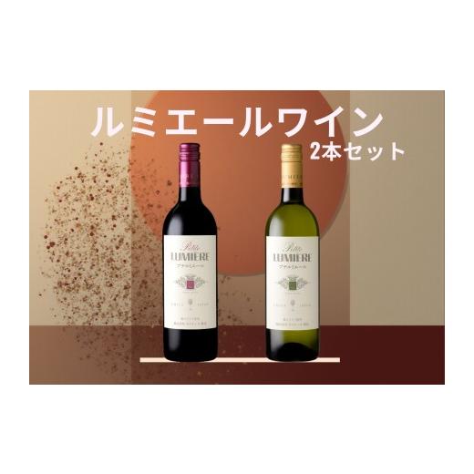 ふるさと納税 ワイン セット 山梨県 笛吹市 ルミエール プチルミエール赤白 2本セット 167-188