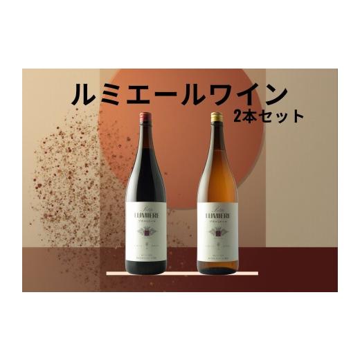 ふるさと納税 ワイン セット 山梨県 笛吹市 ルミエール プチルミエール赤白一升瓶 2本セット 167-189