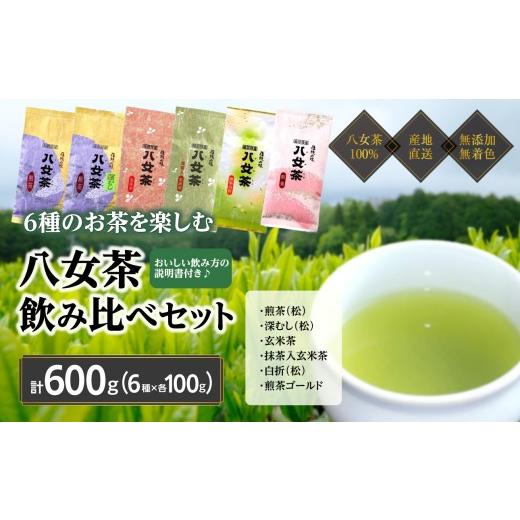 ふるさと納税 お茶類 緑茶(茶葉・ティーバッグ) 福岡県 八女市 八女茶100% お茶の世界を楽しむ 6種の茶葉飲み比べセット 100g×6袋 岩崎園製茶 茶 日本茶 …