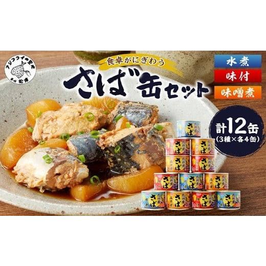 ふるさと納税 缶詰・瓶詰 魚貝類 長崎県 松浦市 ＼父の日/さば缶セット(3種×各4缶)( さば サバ 鯖 さば缶 サバ缶 非常食 保存食 簡単調理 ) B3-096 父の日用
