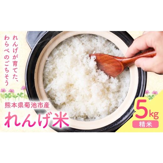 ふるさと納税 米 熊本県 菊池市 熊本県菊池市産のれんげ米 5kg [30日以内に出荷予定(土日祝除く)] 精米方法 精米 お米 白米 レンゲ米 熊本県産 九州産 送料…