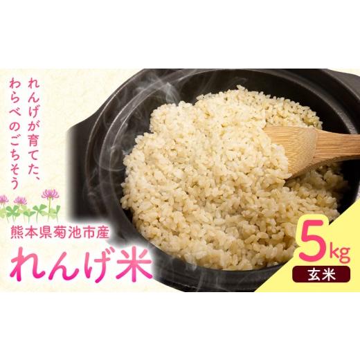 ふるさと納税 玄米 熊本県 菊池市 熊本県菊池市産のれんげ米 5kg [30日以内に出荷予定(土日祝除く)] 精米方法 玄米 お米 レンゲ米 熊本県産 九州産 送料無料…