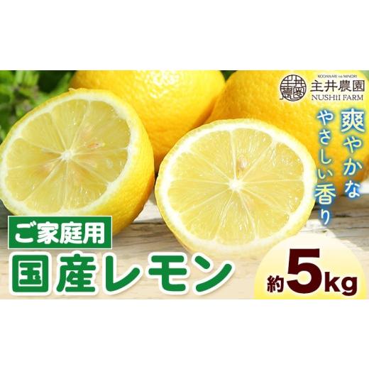 ふるさと納税 みかん・柑橘類 レモン 和歌山県 日高町 レモン ご家庭用国産レモン 約5kg 主井農園[2月上旬-5月上旬頃出荷] 和歌山県 日高町 れもん レモン …