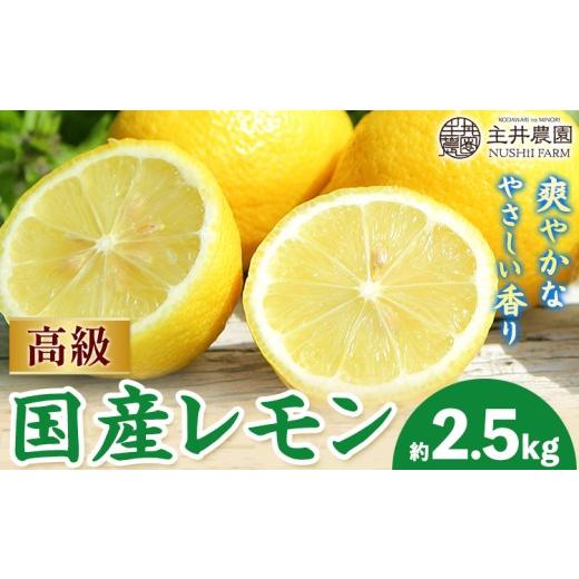ふるさと納税 みかん・柑橘類 レモン 和歌山県 日高町 レモン 高級国産レモン 約2.5kg 主井農園[2月上旬-5月上旬頃出荷] 和歌山県 日高町 れもん レモン 檸…