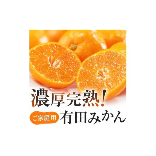ふるさと納税 みかん・柑橘類 和歌山県 すさみ町 先行予約 9月発送 和歌山県産 完熟有田みかん 家庭用 サイズ混合(2S〜2L) 約2.2kg(2kg+200g) 着日指定不可 …