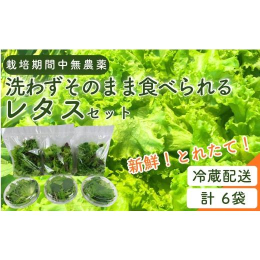 ふるさと納税 セット・詰合せ 宮城県 東松島市 洗わずそのまま食べられる 栽培期間中農薬不使用 メディア紹介多数 野菜 詰め合わせ レタス ベビーリーフ 合計…