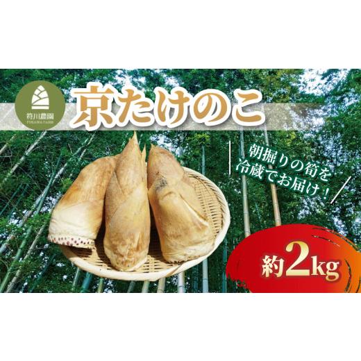 ふるさと納税 野菜類 京都府 八幡市 朝掘り京たけのこ 約2kg 朝掘り 冷蔵 筍 たけのこ タケノコ 竹の子 白子筍 白子たけのこ 国産 野菜 甘み 糖分 人気 おすす…