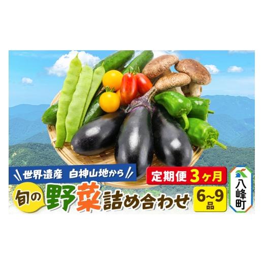 ふるさと納税 セット・詰合せ 秋田県 八峰町 野菜詰合せ 先行受付 [定期便3回 隔月 7月/9月/11月にお届け]6〜9品程度 (計8〜10kg程度)自然で採れた旬の…