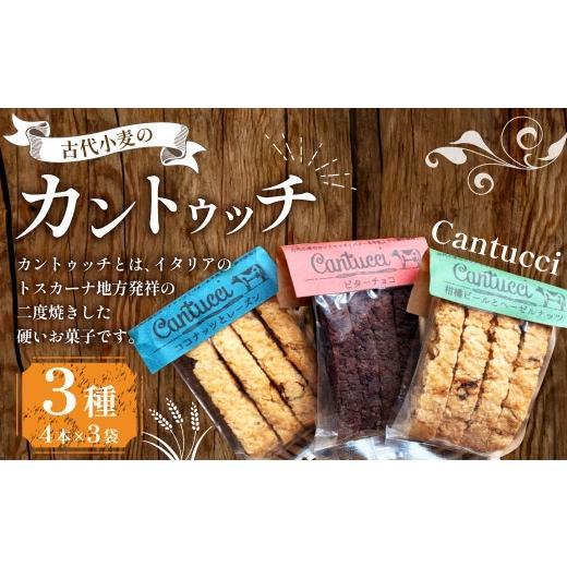 ふるさと納税 焼菓子・チョコレート 高知県 香美市 古代小麦の カントゥッチ 3種類( 柑橘ピール と ヘーゼルナッツ ・ ココナッツ と レーズン ・ ビターチョ…