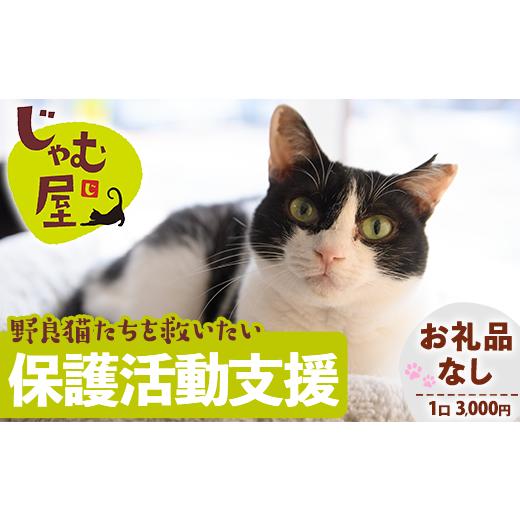 ふるさと納税 地域のお礼の品 福岡県 芦屋町 お礼品なし 保護猫 活動支援(1口:3,000円) 猫 ねこ ネコ 地域猫 野良猫 のらねこ さくら猫 保護 支援 保護猫活…