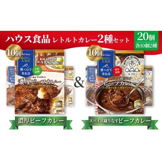 ふるさと納税 加工品等 レトルト 愛知県 江南市 選ばれし人気店 濃厚ビーフカレー&スパイス織りなすビーフカレー 各10個 / レトルト カレー 食べ比べ ハウス…