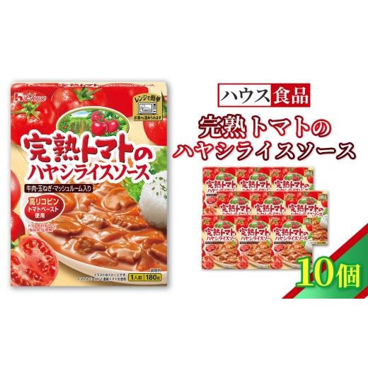 ふるさと納税 加工品等 レトルト 愛知県 江南市 ハウス レトルト 完熟トマトのハヤシライスソース 10個 / レトルト ハヤシ ハウス食品 レンジ 湯煎 湯せん 時…
