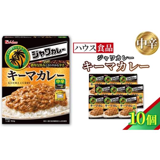 ふるさと納税 加工品等 レトルト 愛知県 江南市 ハウス レトルトジャワカレー キーマカレー 10個 / レトルト カレー ハウス食品 レンジ 湯煎 湯せん 時短 簡…