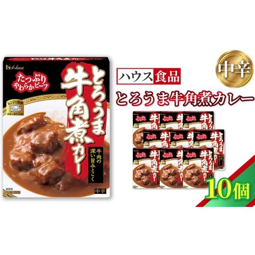 ふるさと納税 加工品等 レトルト 愛知県 江南市 ハウス とろうま牛角煮カレー 中辛 10個 / レトルト カレー ハウス食品 レンジ 湯煎 湯せん 時短 簡単 簡単調…