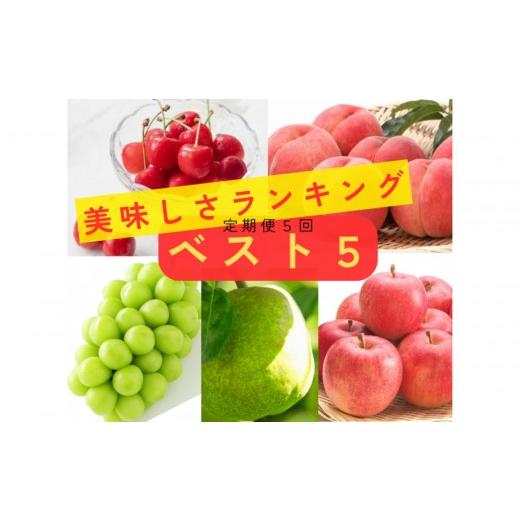 ふるさと納税 果物類 さくらんぼ 山形県 中山町 2026年度発送 定期便5回 美味しさランキング ベスト5